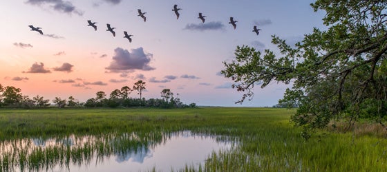 A marsh at sunset in Beaufort, South Carolina. (Teresa Kopec / Getty Images)