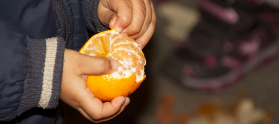 Children often experience greater exposure to chlorpyrifos because they eat more fruit like oranges, apples, cherries, and peaches for their weight relative to adults.  (Annette Dubois / CC BY-NC 2.0)