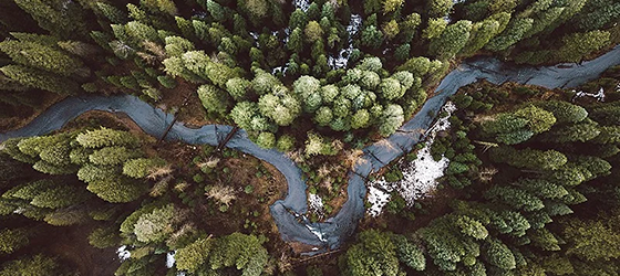 A river winds through a forest seen directly from above near Klamath Falls, Oregon. (Brian Handy / Getty Images)