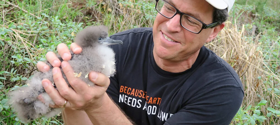 Earthjustice attorney David Henkin holds a Newell’s shearwater chick. (Earthjustice)