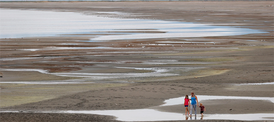Park visitors walk along a section of Great Salt Lake that used to be underwater at Great Salt Lake State Park on August 2, 2021, near Magna, Utah. (Justin Sullivan / Getty Images)
