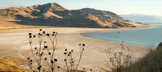 View of Antelope Island on the Great Salt Lake. (Nick Pedersen / Getty Images)