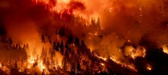 The Park Fire burns through the night on July 30, 2024 near Chico, California. (David McNew / Getty Images)