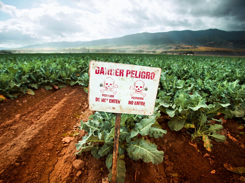 Toxic pest control chemicals sprayed on a field in California's Salinas Valley