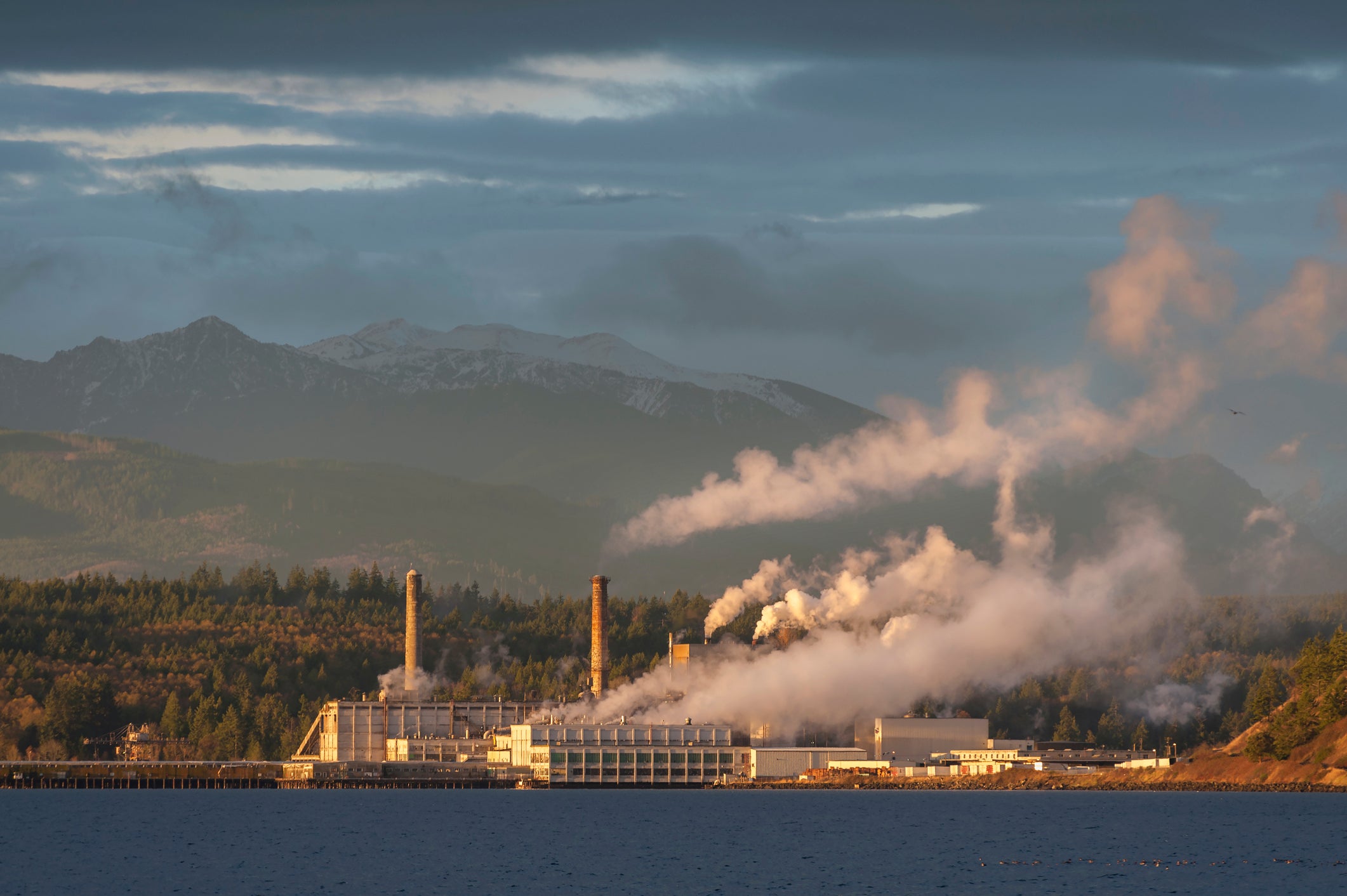 Industrial pulp mill in Port Townsend, Washington.
(Edmund Lowe Photography/Getty Images)