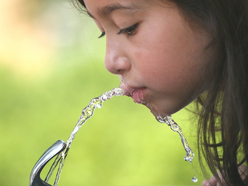 The wetlands affected by Sackett include those that supply the drinking water for millions of people in the United States. (Getty Images)