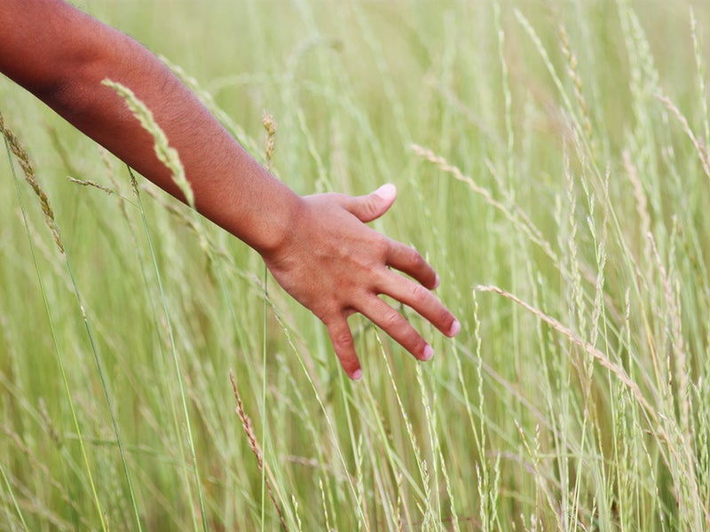 A girl walks through a farmfield.