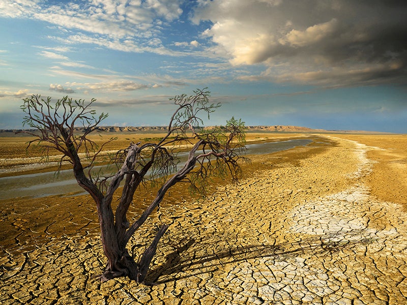 Climate change drought