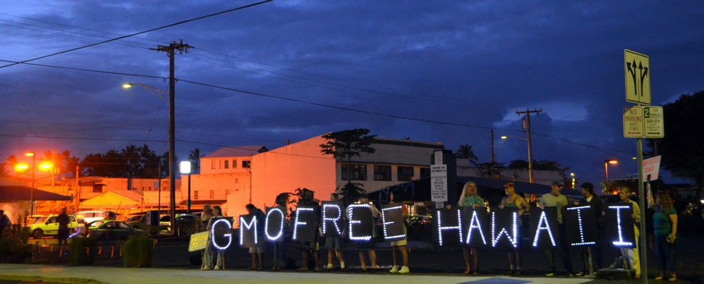 Occupy Hilo Light Brigade and GMO Free Hawaii Island team up for a joint action to raise awareness about GMOs