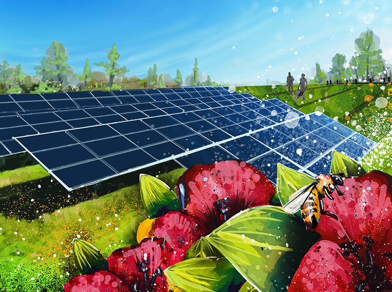 An illustration of solar panels in a field of red flowers.