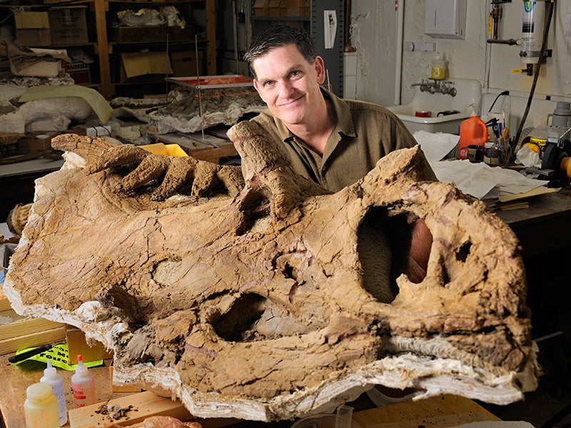 Paleontologist Scott Sampson poses with his favorite dinosaur, the 15-horned Kosmoceratops richardsoni.