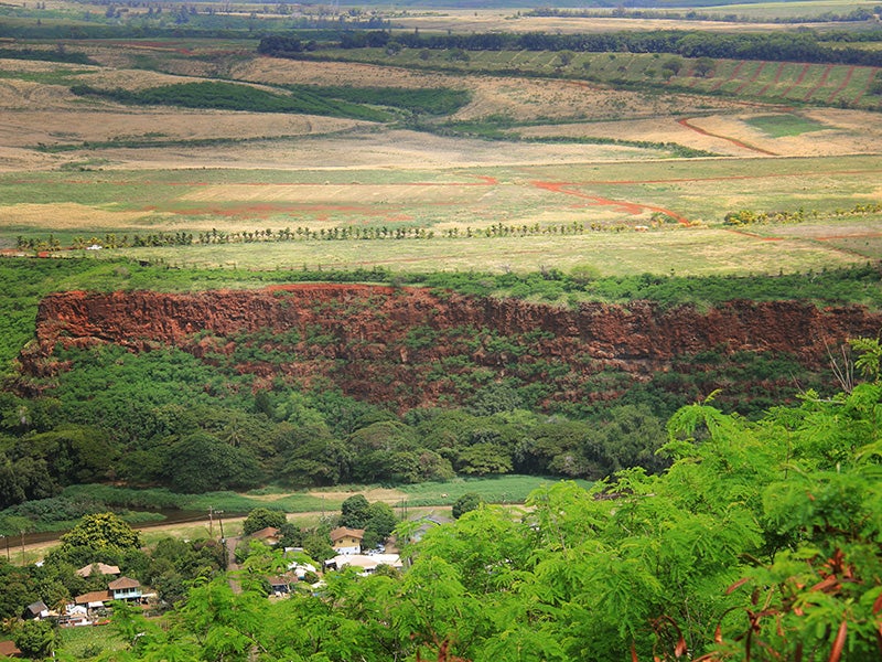 Seed crop fields above Waimea residences affected by pesticide drift.