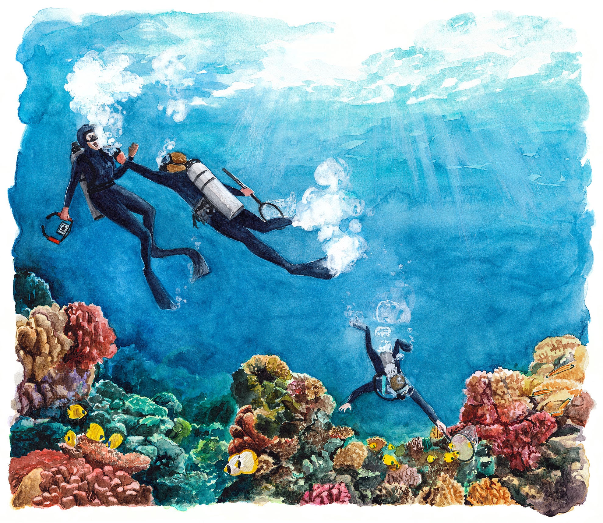 Illustration of underwater attack. Three divers, two with nets, one with a camera. One diver with a net in hand has other hand removing the mouth piece of the diver with the camera. Reef below with fishes swimming.