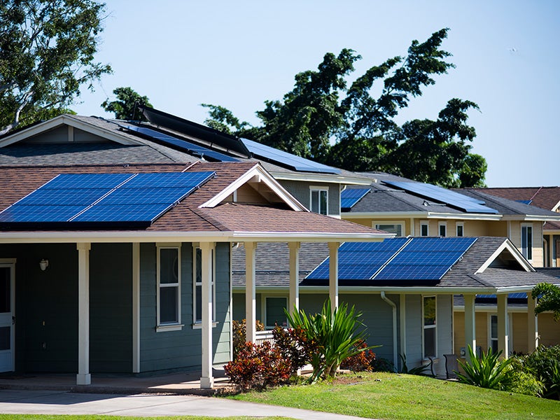 Solar panels on homes at Salt Lake in Oahu, Hawaiʻi.
(Matt Mallams for Earthjustice)