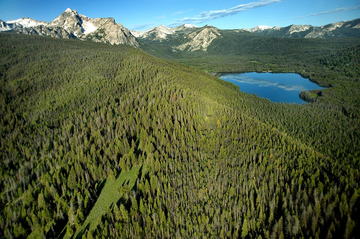 Stanley Lake in front of McGowan Peak. Sawtooth Mountains, Idaho, USA.