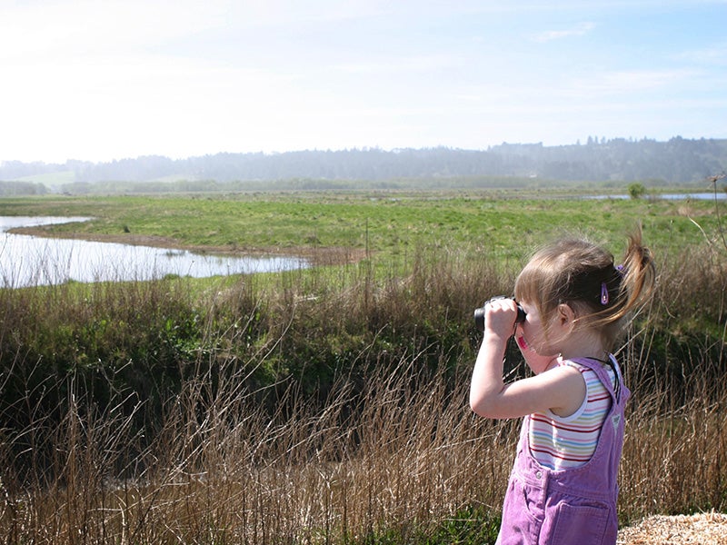 A two-year-old birder at Humboldt Bay. The area is a vital stop for birds along the Pacific Flyway. In spring migration alone, Humboldt Bay hosts as many as 100,000 shorebirds each day.
(Shannon Smith / U.S. Fish & Wildlife Service)
