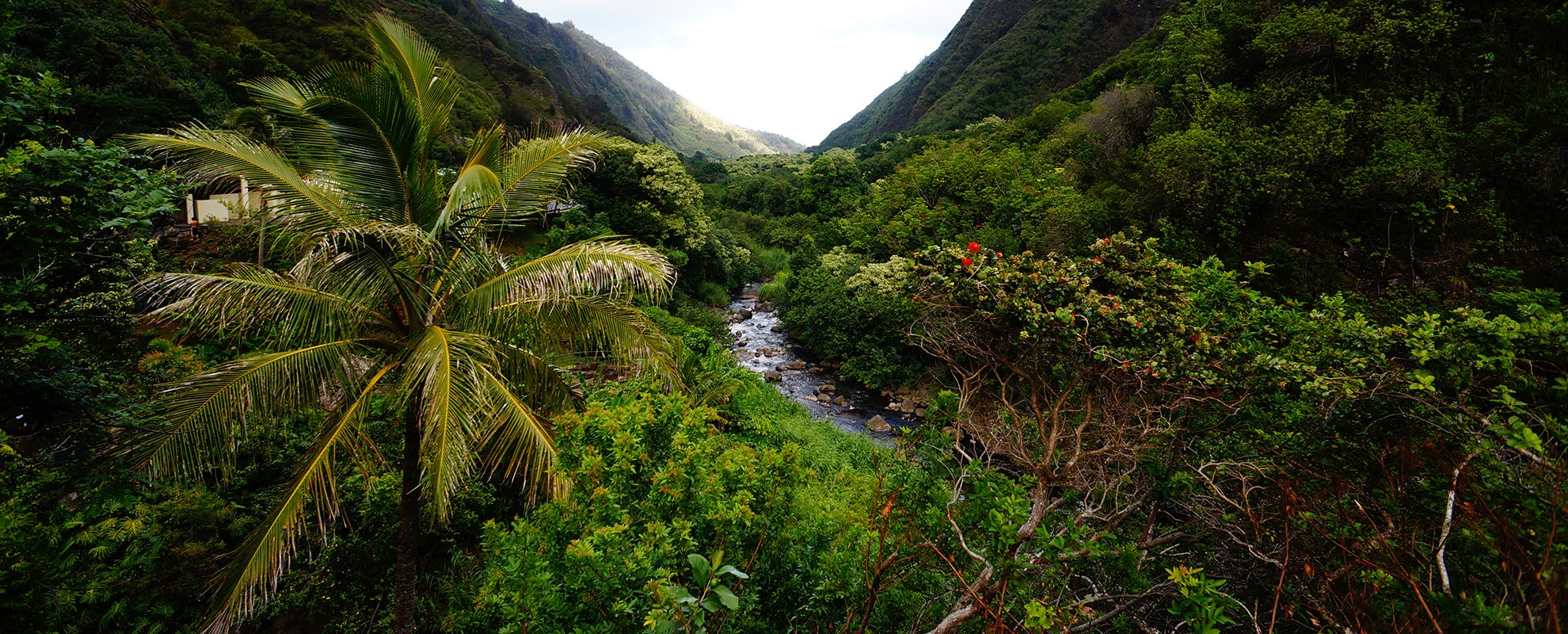 A river in &#039;Iao Valley.