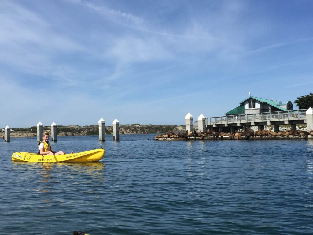 Stacey Geis' daughter kayaking in Elkhorn Slough, located on the Monterey Bay coastline.