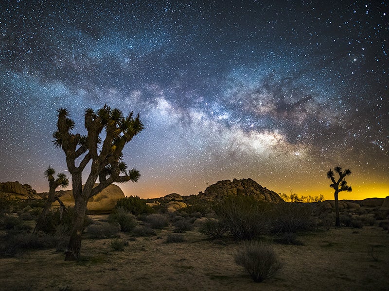 Joshua Tree National Park.