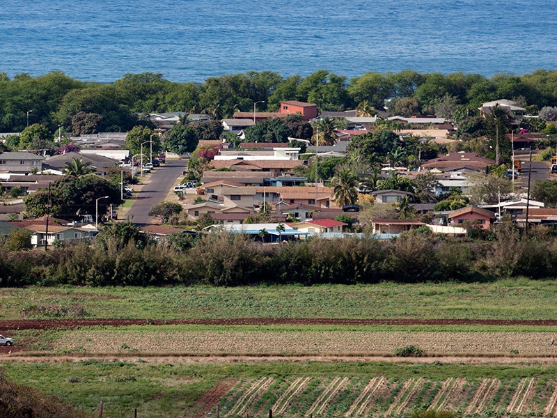 Fields planted with GMO crops, and sprayed with pesticides, are located adjacent to homes on Kauaʻi.
(Mike Coots for Earthjustice)