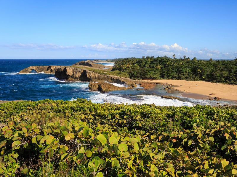 La Cueva del Indio in Arecibo, Puerto Rico. An energy company is trying to fund the construction of a waste incinerator in Arecibo even though the project could harm human health and the environment.
(Alejandro Mallado Erbez/CC BY-NC-ND 2.0)