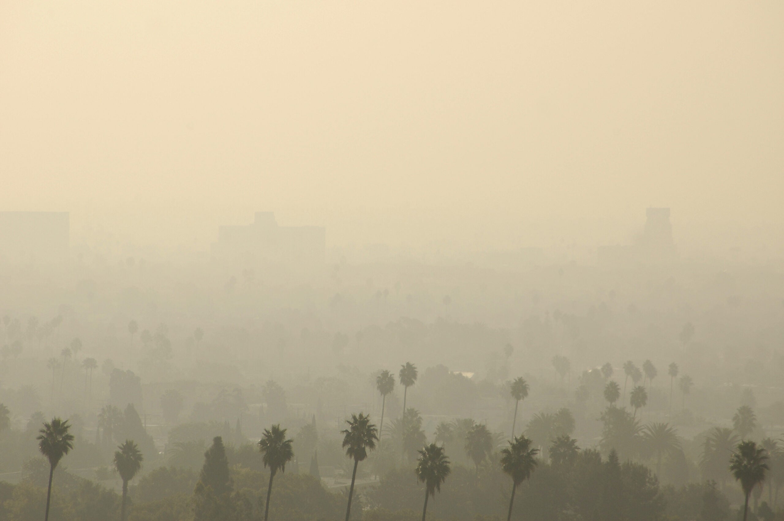 Los Angeles Smog