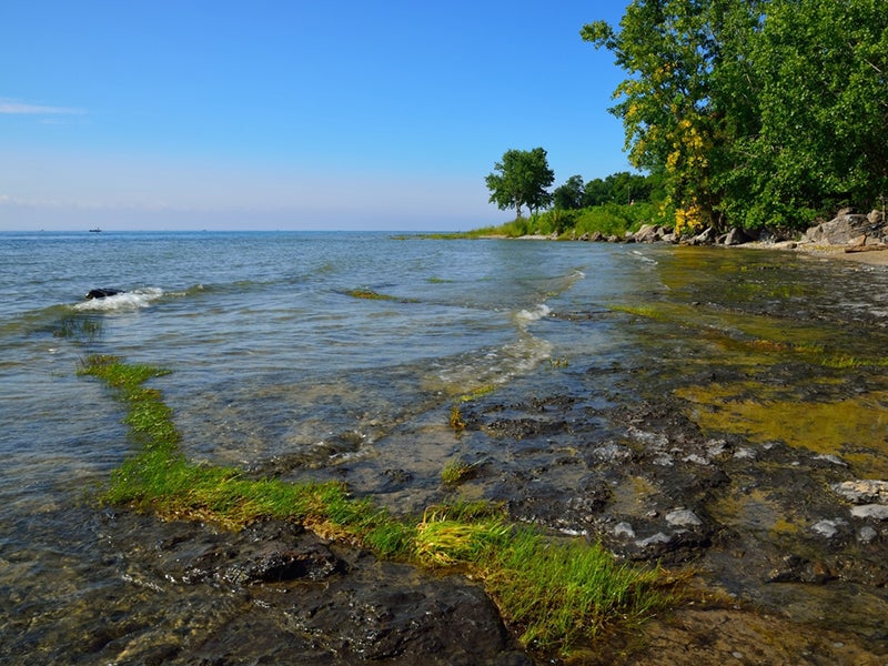 Margo Pellegrino recently made a solo journey from New York City to Chicago by canoe. She navigated through three of the five Great Lakes, including Lake Erie, above.