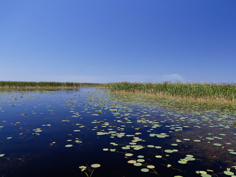 Lake Okeechobee.