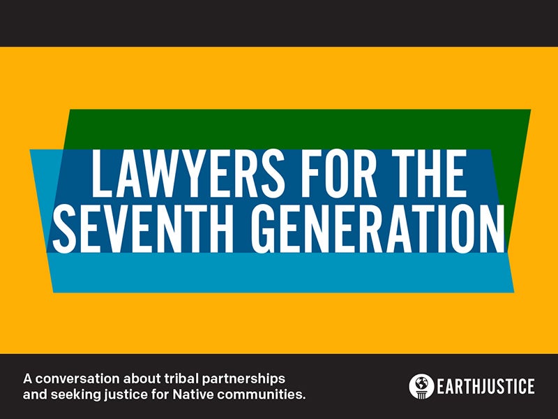 Lawyers for the Seventh Generation