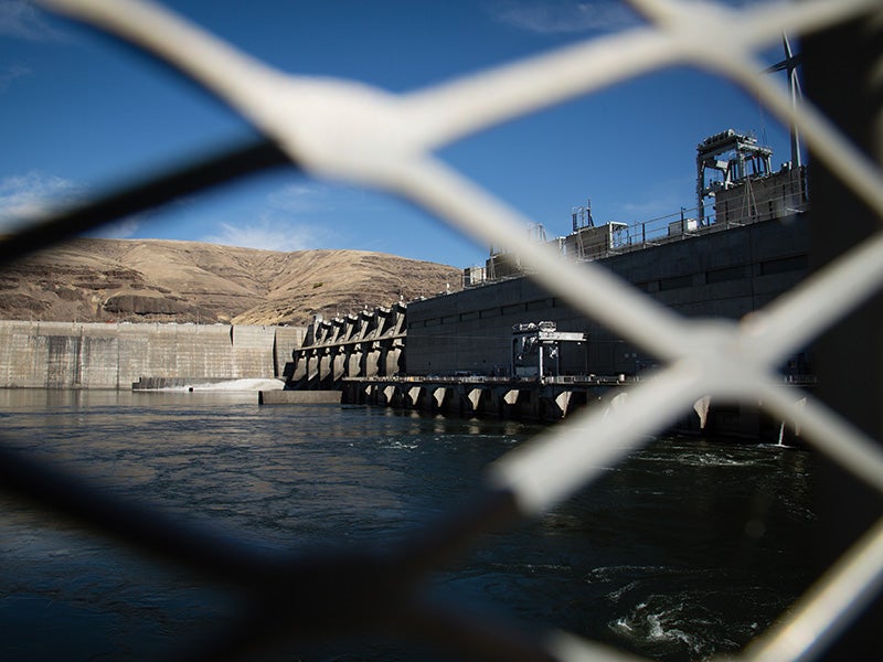 Lower Granite Dam, one of the four massive dams on the Lower Snake River, that is driving wild salmon to extinction.