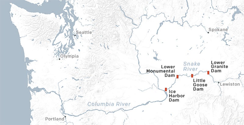Map of the four lower Snake River Dams.