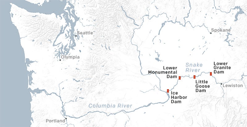 Map of the four lower Snake River dams.