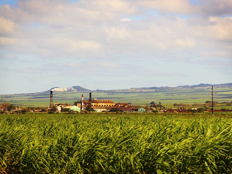 "Maui Sugar Factory" by Justin Ennis/CC BY 2.0 https://flic.kr/p/jsiYWL