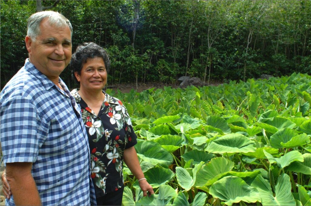 Water rights heroes John and Rose Marie Duey at home in ‘Īao Valley with taro growing behind them.
(Sterling Kini Wong, Office of Hawaiian Affairs)