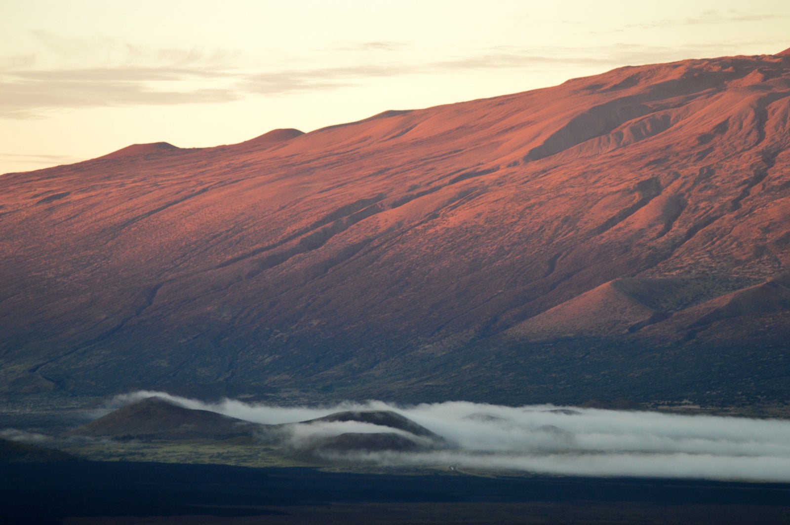 Fog surrounds Mauna Kea.