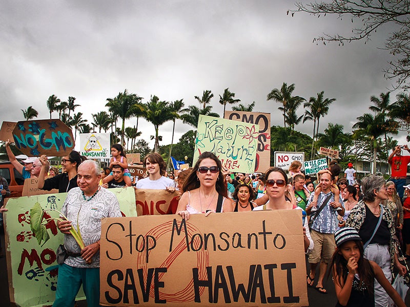 Hawaiians gather in Hilo to protest GMO agribusiness on the islands of Hawaiʻi.