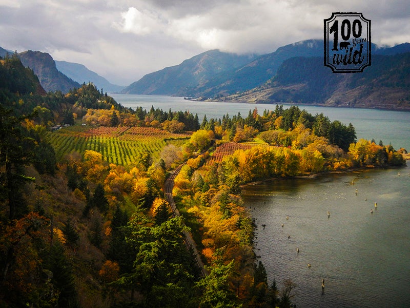 Not every park can be as popular as Yellowstone—but every park deserves our protection. Columbia River Gorge National Scenic Area, pictured above, encompasses 292,500 acres of wilderness spanning southern Washington and northern Oregon.
(Gary Gilardi/Shutterstock)