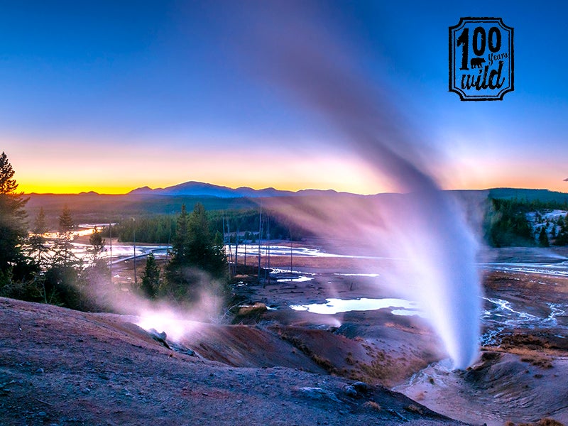 Kurt Repanshek hasn’t just visited about 90 National Park Service areas—he’s been reporting on the nation’s parks, monuments, seashores and battlefields for more than a decade. He travels to Yellowstone National Park (above) every year.
(Kris Wiktor/Shutterstock)