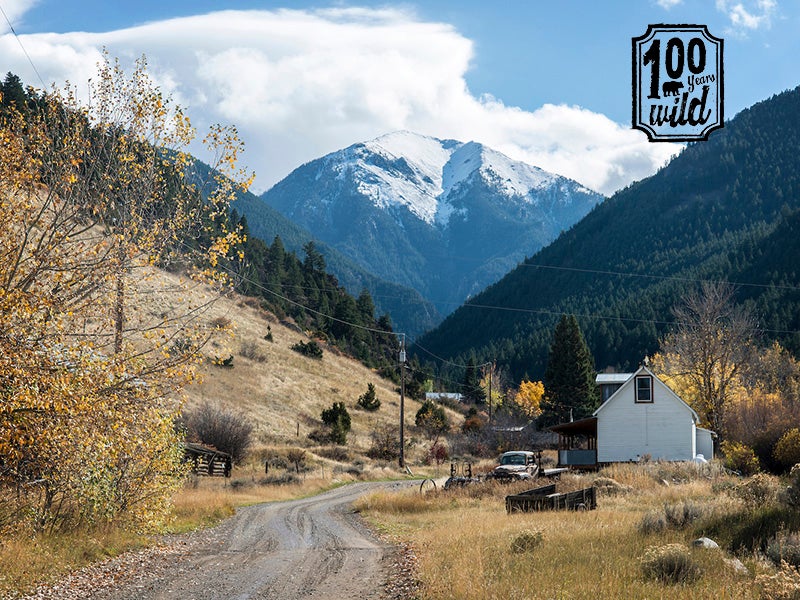 View of Mineral Mountain at the entrance to the historic community of Old Chico, a popular tourist destination for those looking for peace and quiet. This will be the access road for drilling rigs and heavy equipment.
(Photo courtesy of William Campbell)