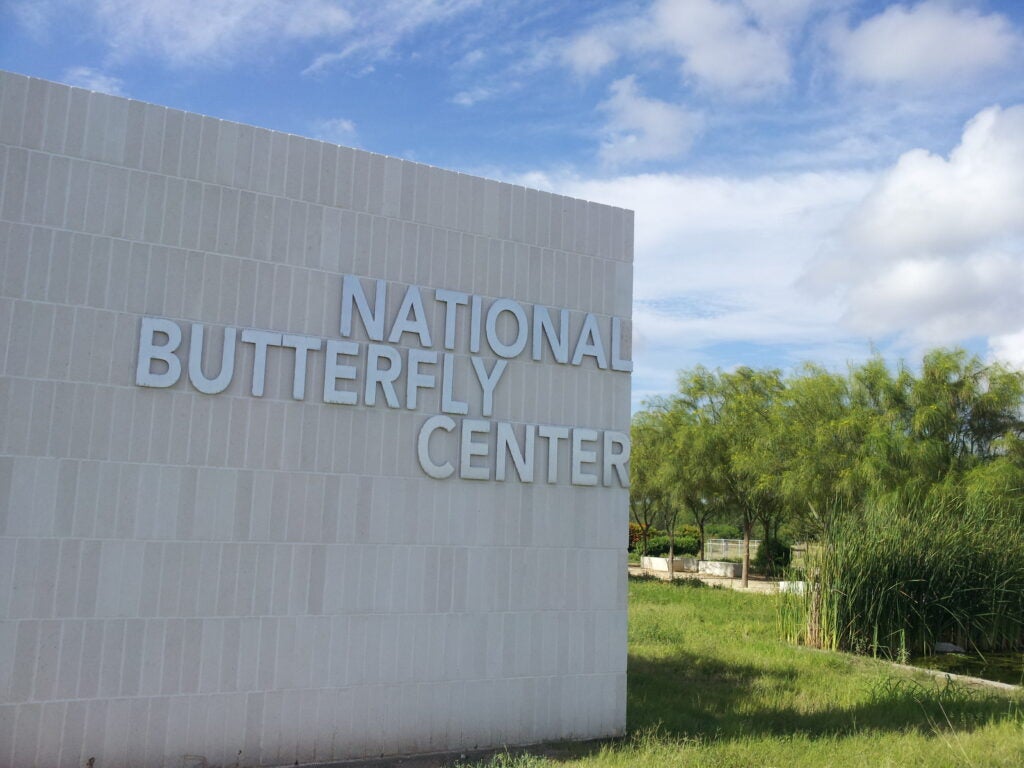 The National Butterfly Center in Mission, Texas, would lose access to parts of their land if the border wall construction is allowed to proceed. (Mtwrighter / CC BY-SA 4.0)