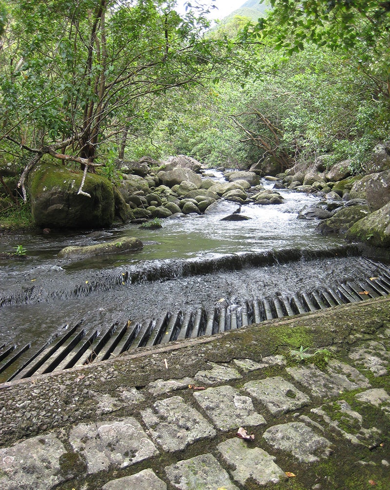 Upper diversion on Waiheʻe River, with the entire flow of the river being diverted, in August 2010.