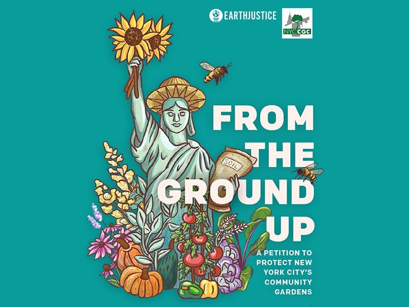 From the Ground Up: A Petition to Protect New York City’s Community Gardens.
