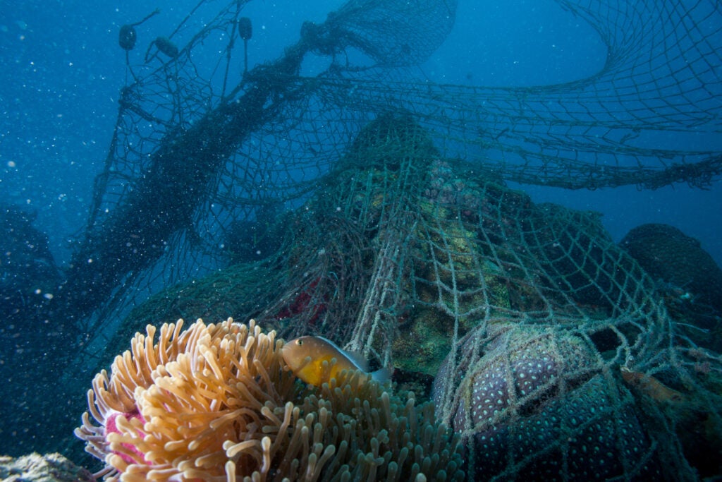 Ocean net destruction