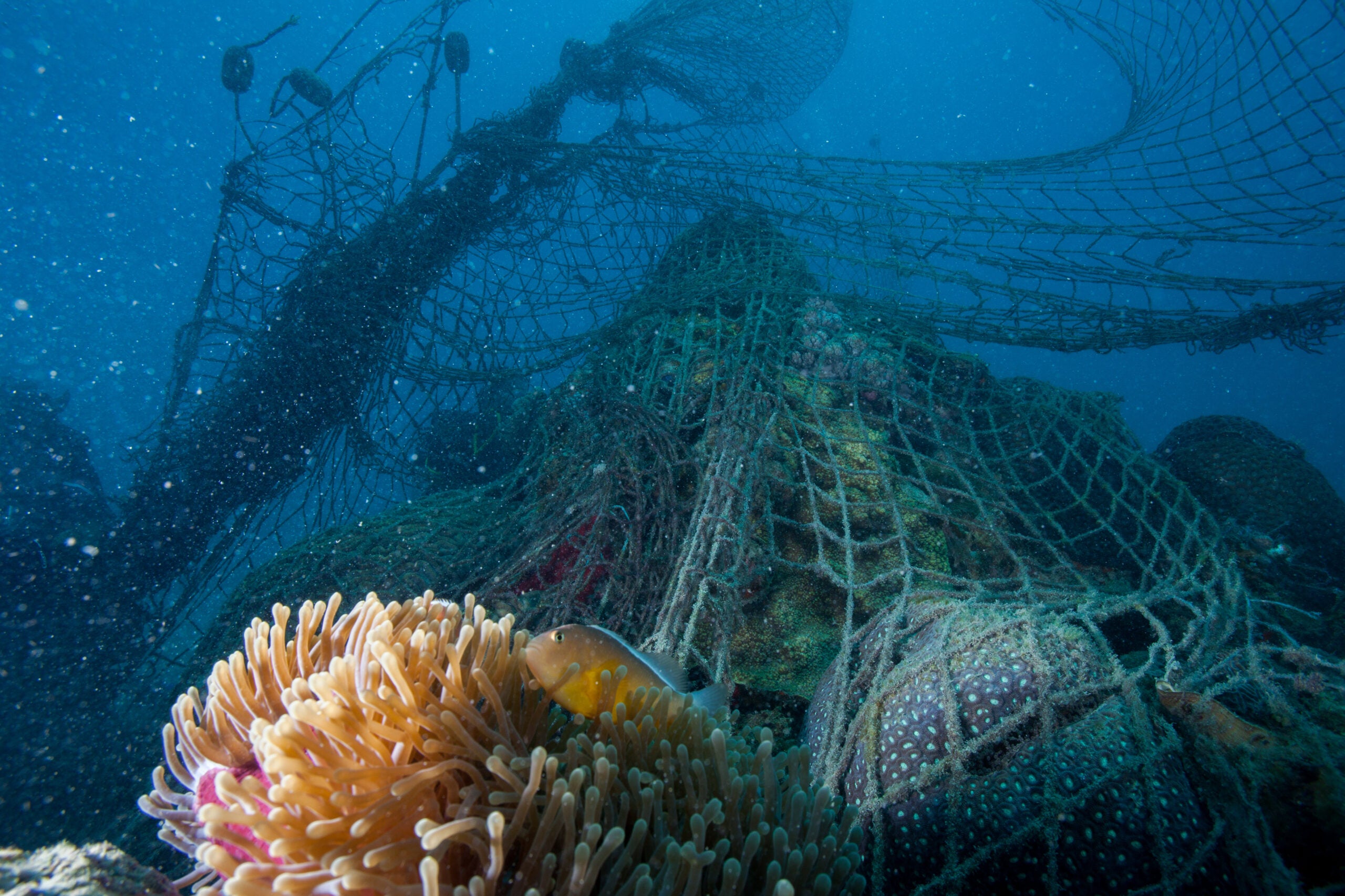 habitat destruction ocean