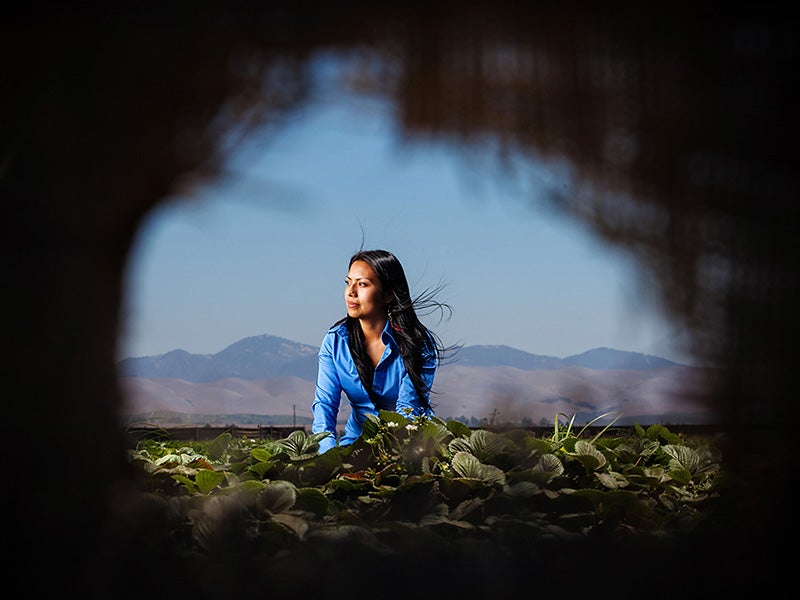 Olga Santos returned for the first time to the strawberry field where she was sprayed with toxic pesticides while eating lunch with her family as a young girl.