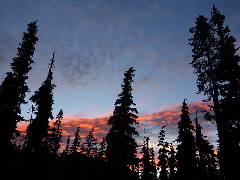 Sunset paints the sky behind a treeline near Crater Lake in Oregon.