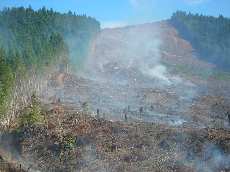 A clearcut section of the Oregon Forest
(George Sexton)