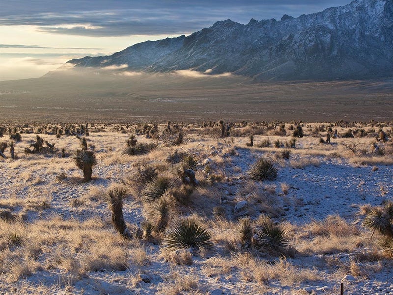 The Organ Mountains range from 4,600 to just over 9,000 feet, and are so named because of the steep, needle-like spires that resemble the pipes of an organ.