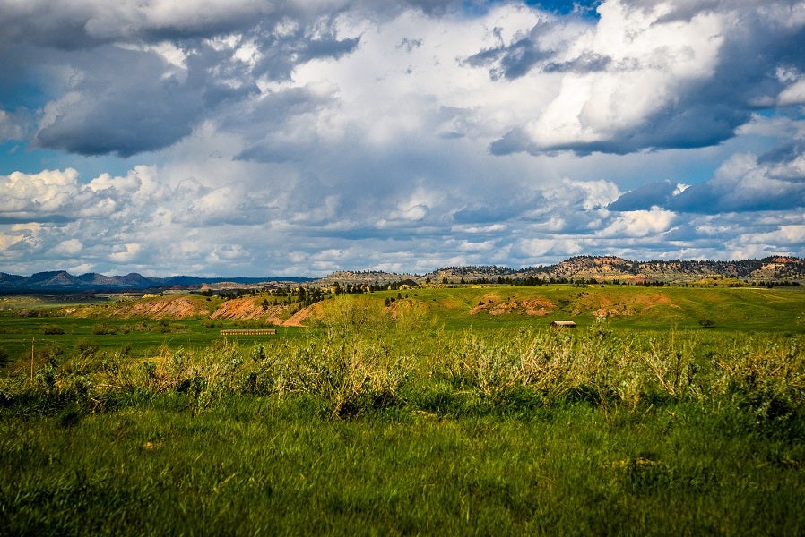 Otter Creek landscape
(Alexis Bonogofsky)