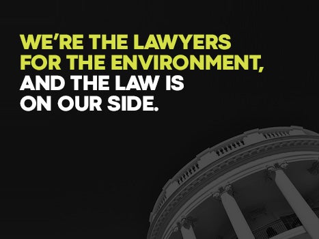 We&#039;re the lawyers for the environment. The law is on our side.